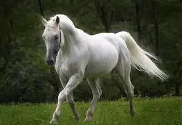 马龙赛点兑现，罗马淘汰阿森纳晋级四强，主帅激动落泪(马龙巅峰时期有多可怕)